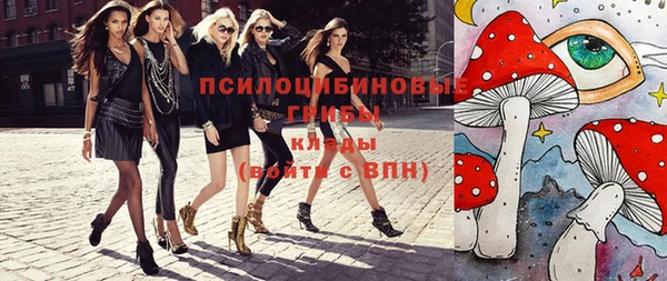 дживик Арсеньев
