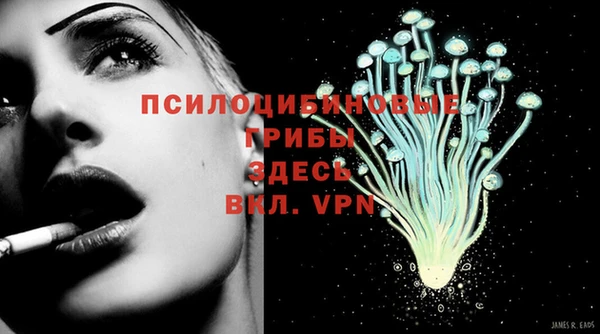 дживик Арсеньев